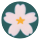 BeautyInKorea logo